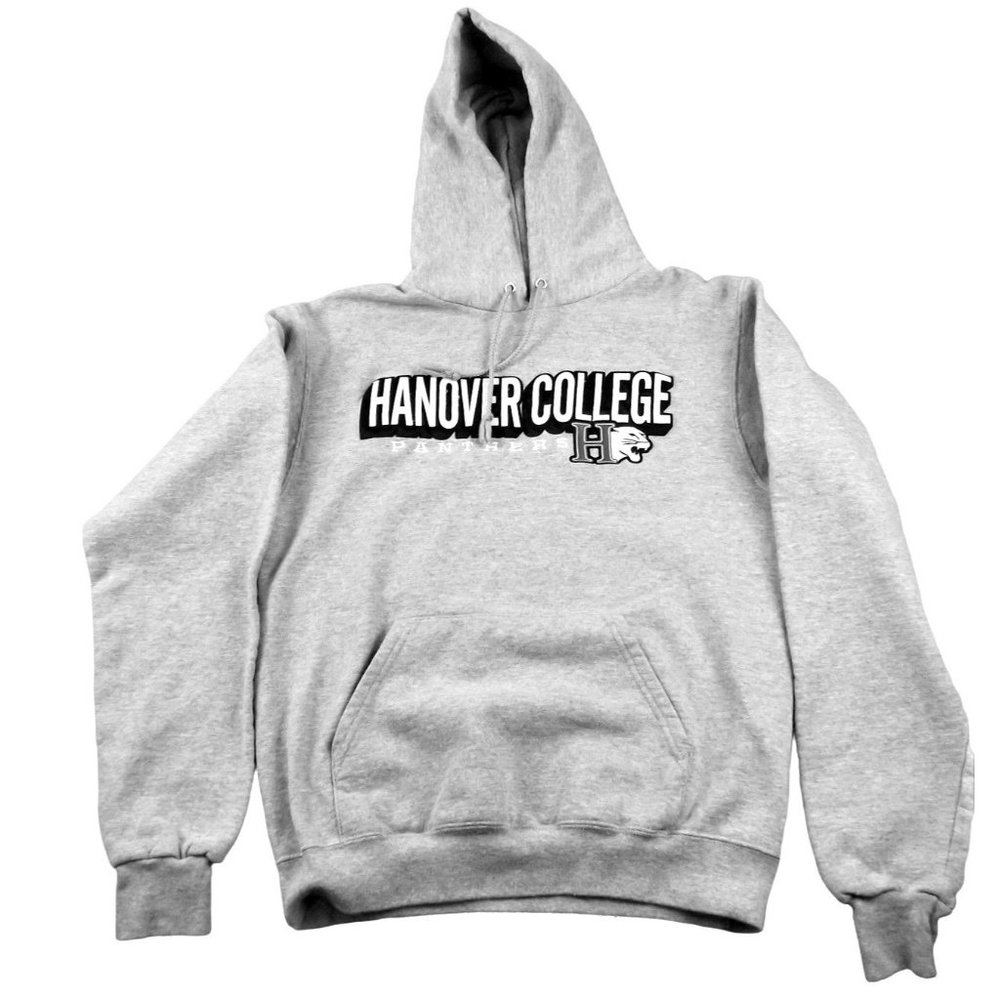 Champion Men's Hanover College Team Panthers Hooded Sweatshirt size Small JH1090